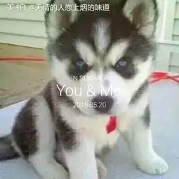  无情的人恋上烟的味道的美拍