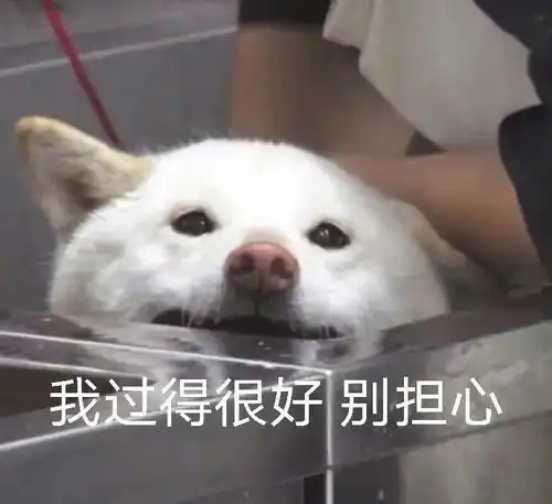  他俩在没在一块直接给个痛快话吧要不不会用绯闻给粉丝打预防针呢吧
