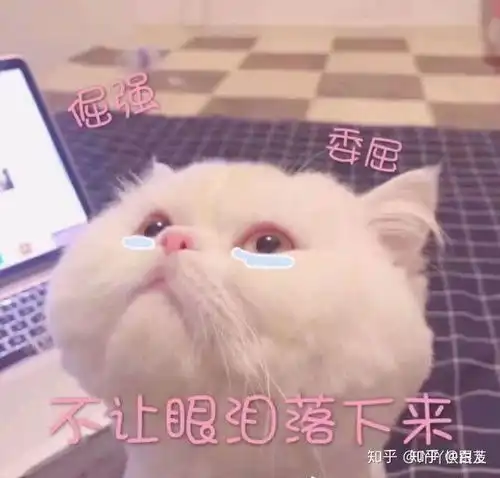  和一个女生误发了一个这个表情包怎么办