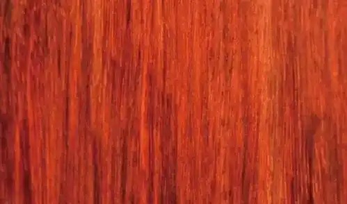 真正的花梨木图片