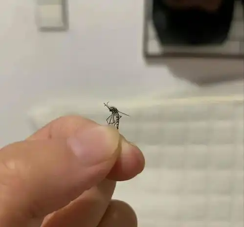  爆笑图集你知道少林寺为什么不买空调吗网友们在评论区笑了