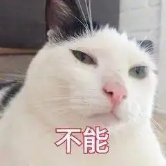 研究生的你,收到红包了吗