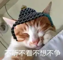  我终于活成了妈妈喜欢的样子