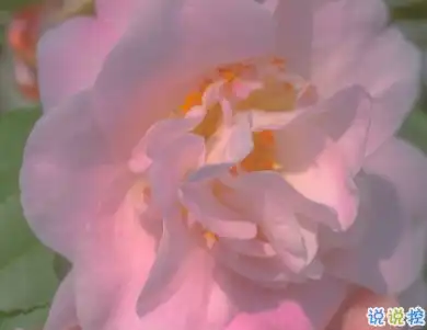  天冷发朋友圈搞笑说说带图片降温朋友圈最火文案