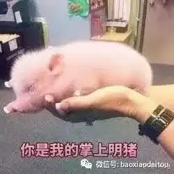  谁又能想到,我这个假装坚强的汉子,居然会