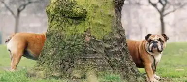 智商不是硬伤高冷高逼格过愚人节  智商不是硬伤高冷高逼格过愚人节