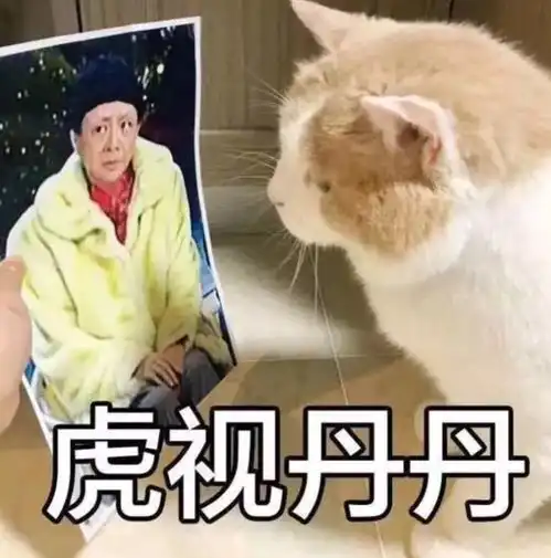 近期微信网红表情包萌猫