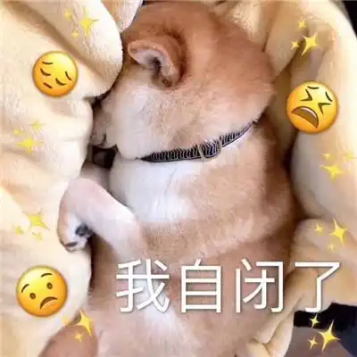 睡觉图片搞笑 表情管我