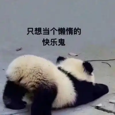  盘点全网笑到肚子疼的搞笑图片,笑死人不偿命第十五期