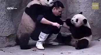  别闹了,该吃药了倒数第二张让我笑喷了