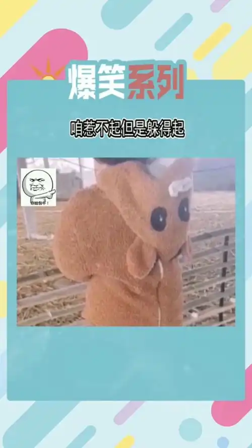  爆笑系列自从闺女当场拔了鸭毛其它鸭子就吓成这样