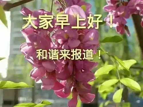  生活就像拍电影,自编自导和自演,早安