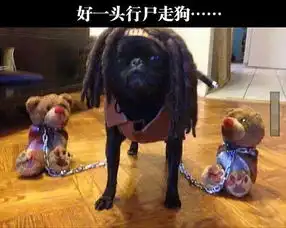 元旦秒杀图片搞笑狗子