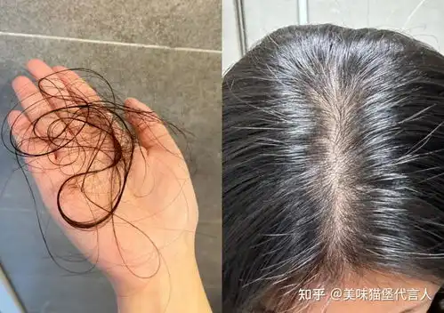  一看就很贵气的女孩子是什么样子的