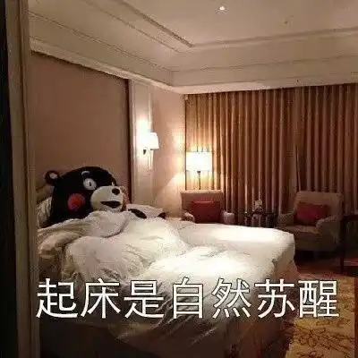  表情包你真的起床过吗