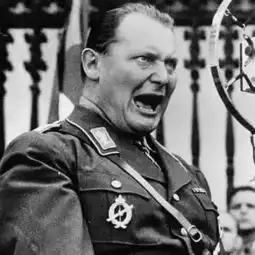  德国战败后戈林的访谈我是怎样搞垮德国空军的