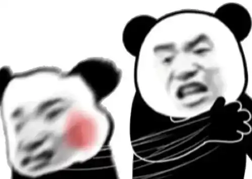  沙雕熊猫头嗨,没人要的小宝贝
