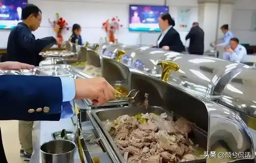 一群猪吃饭的图片搞笑饭