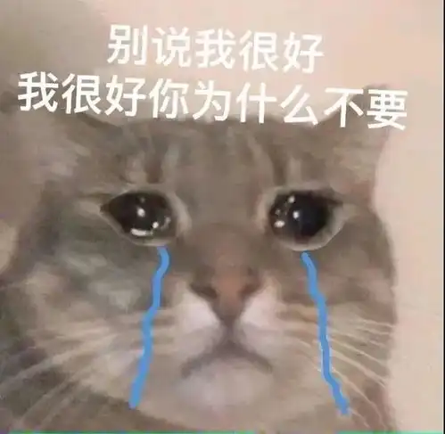  勇敢喵君不怕困难丨第140期喵表情