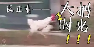 呸表情包图片鸡年