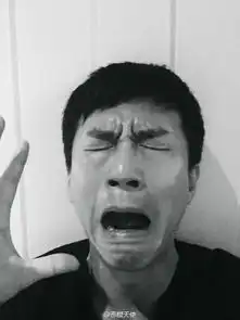  小沈阳感恩节晒丑照明星恶搞犯二照盘点