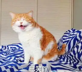  幽默笑话精选,看完一整天心情好好地