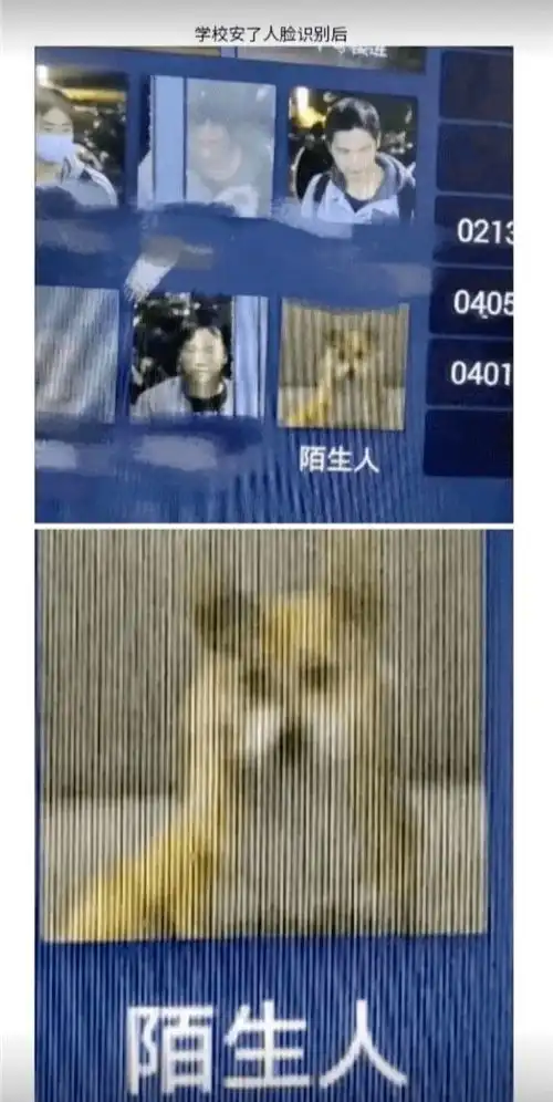  人工智能到底有多智障这20组趣图告诉你