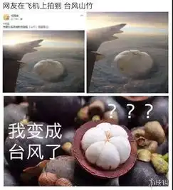  台风山竹再肆虐残暴也阻止不了网友们恶搞它