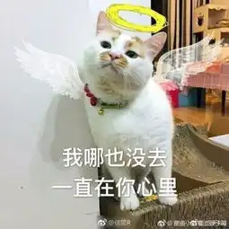 哈哈喵开黑的表情包自闭