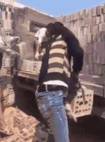 鸭子搞笑图片搞笑gif