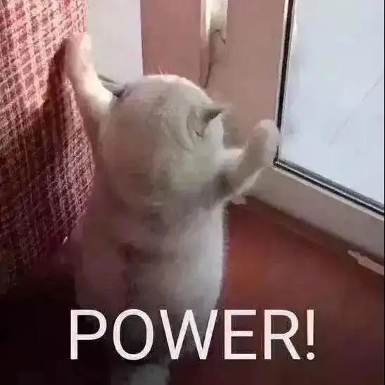  老妈问我养这破猫有啥用,我直接发了几张图,她秒懂了