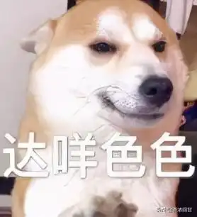  科学家是怎么取蛛丝的