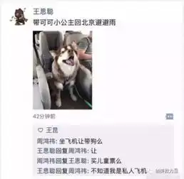  我不小心摔了一个狗吃屎,趴在一美女跟前搜狐搞笑搜狐网
