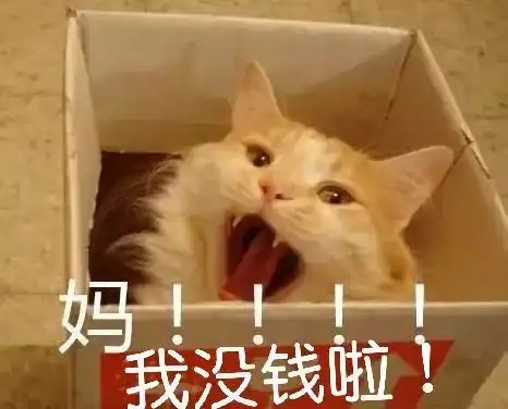  既然今天是双十一,那么........