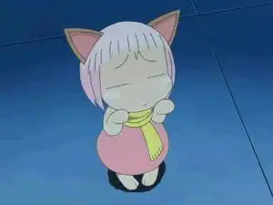  粉红色头发的猫咪