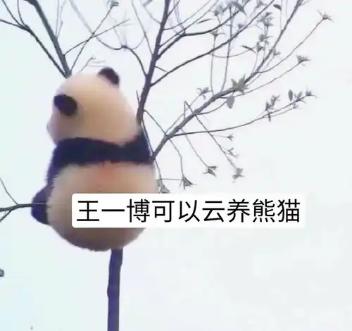  不敢相信,王一博竟然如此双标