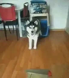 该吃药的图片搞笑搞笑