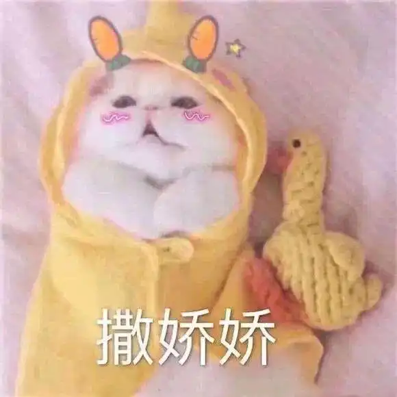  刚谈恋爱特别懵逼咋办