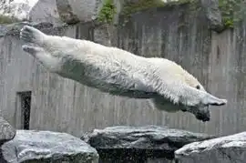 不看不知道这才是真正的恶搞无极限图  不看不知道这才是真正的恶搞无极限图