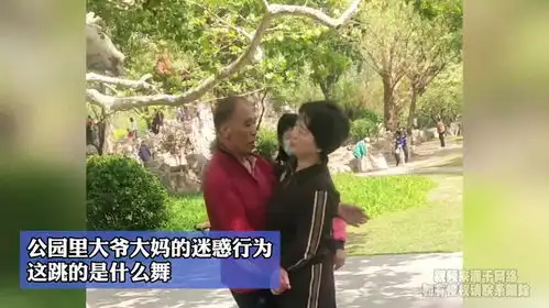 公园里大爷大妈的迷惑行为,这跳的是什么舞  公园里大爷大妈的迷惑行为,这跳的是什么舞