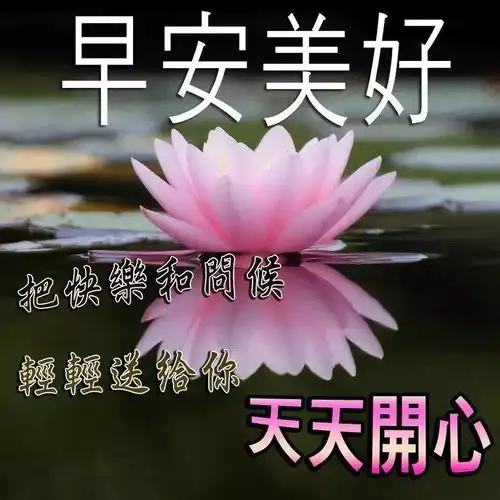  非常漂亮的清晨早上好问候语录图片,最美最暖早安问候语短信祝福