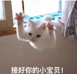  我花高价钱买的自动喂食器,居然差点饿死我的猫