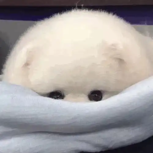  朋友圈搞笑沙雕文案