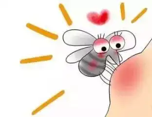  被蚊子咬后,用土味止痒法真能迅速止痒吗答案出乎意料
