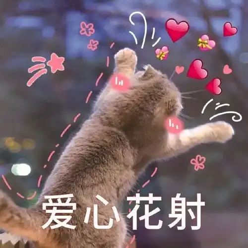  前方高能动物界丢过来一堆表情包腾讯新闻