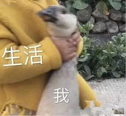  应城今冬首场要雪来了最低2c雨雪降温这周气温暴跌