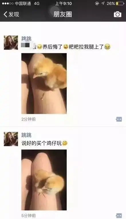  那些搞笑的朋友圈