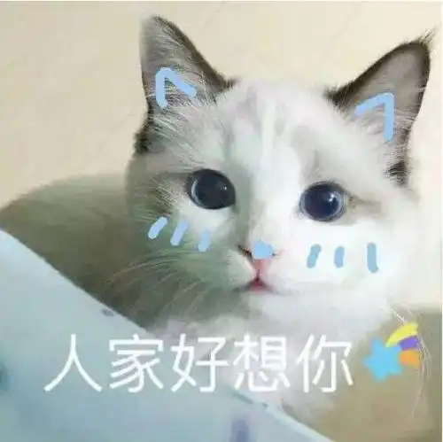  幽默笑话,靓仔,这么早你就来买菜了,你媳妇真幸福呀车去
