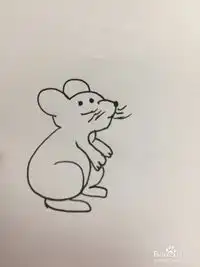  老鼠的简笔画