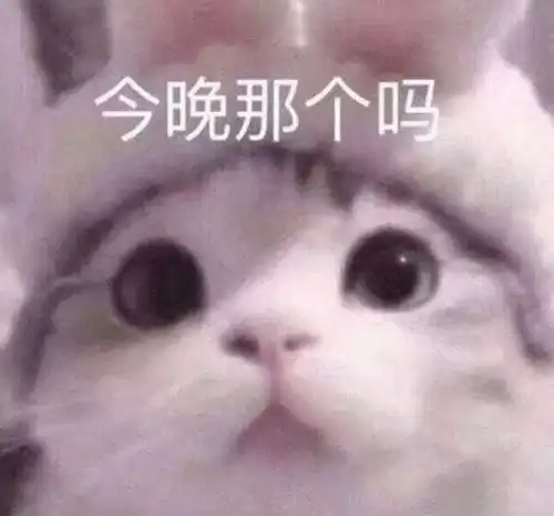  在线求助女神下班后跟我说今晚那个吗,到底是啥意思